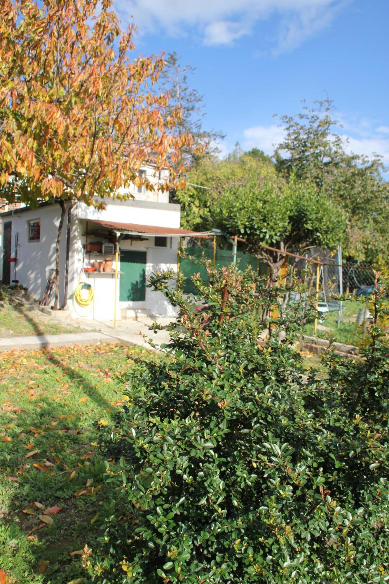 Il Gelsomino Trieste Exterior foto