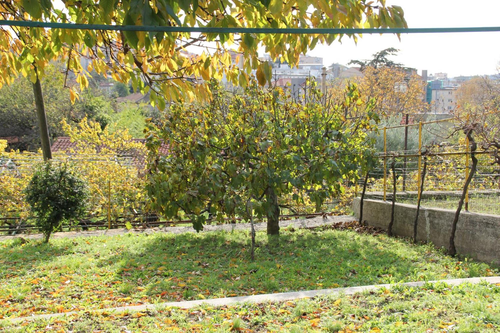 Il Gelsomino Trieste Exterior foto